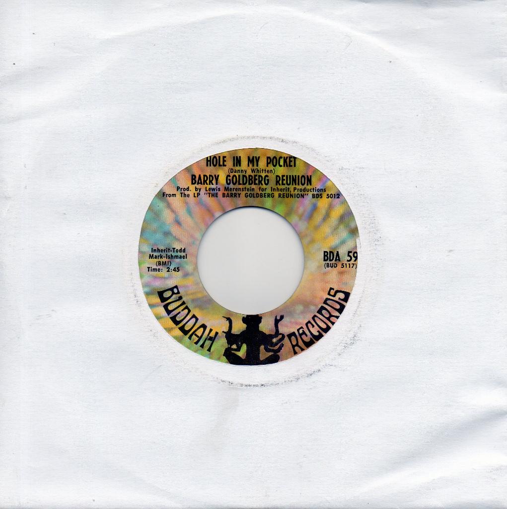 Barry Goldberg Reunion - Hole in my pocket, Verzenden, Gebruikt, 7 inch, Pop