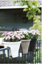 Elho 2 witte balkon bloembakken, Ophalen, Kunststof, Minder dan 30 cm, Balkon