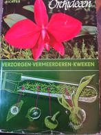 Orchideeën verzorgen, vermeerderen en kweken - Richter, Ophalen of Verzenden, Gelezen, Richter, Tuinieren en Tuinplanten