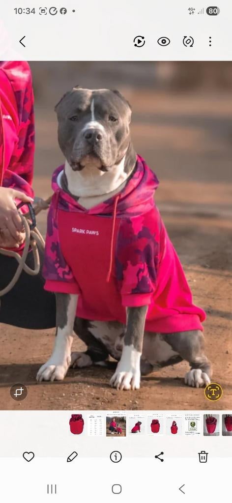 Honden jas/ sweater, Ophalen