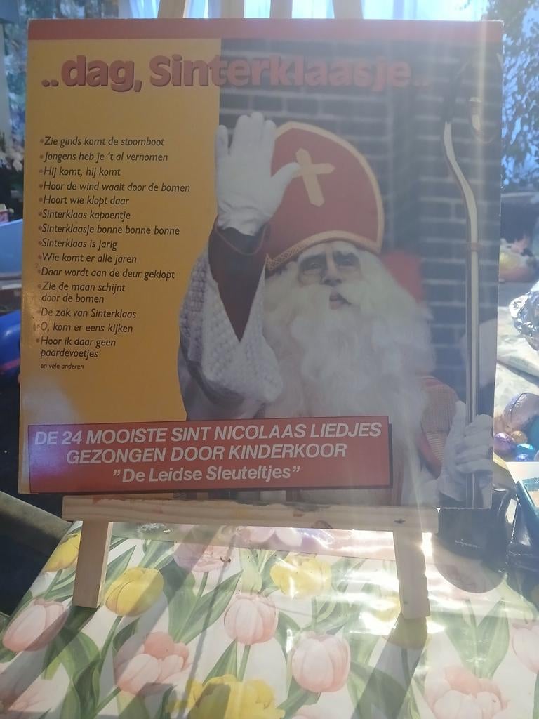 Dag sinterklaasje plaat, Ophalen of Verzenden, Gebruikt, 12 inch, Levenslied of Smartlap