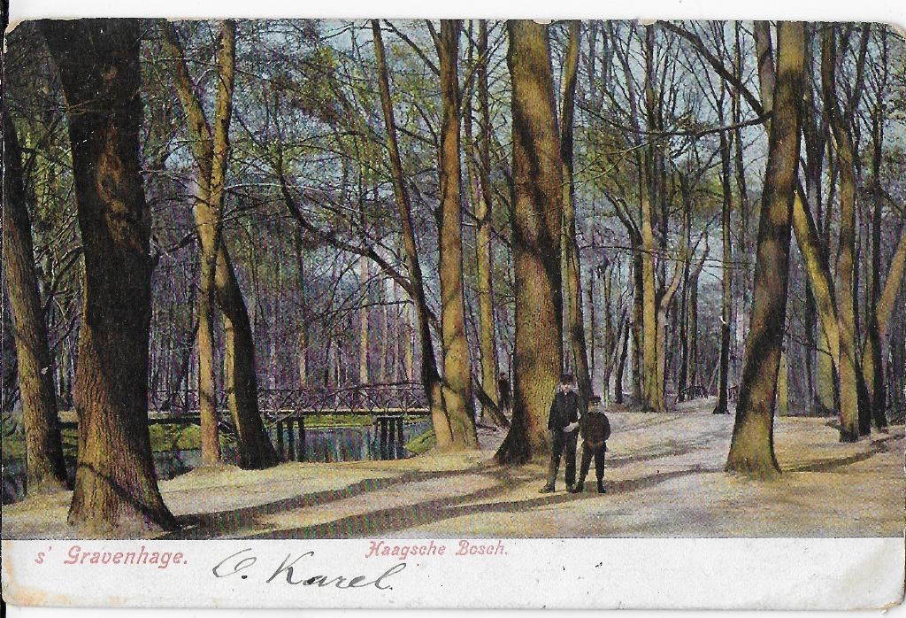 Pa148 Oude gelopen ansichtkaart s'Gravenhage haagsche Bosch, Verzamelen, Ophalen of Verzenden, Voor 1920, Ongelopen, Zuid-Holland