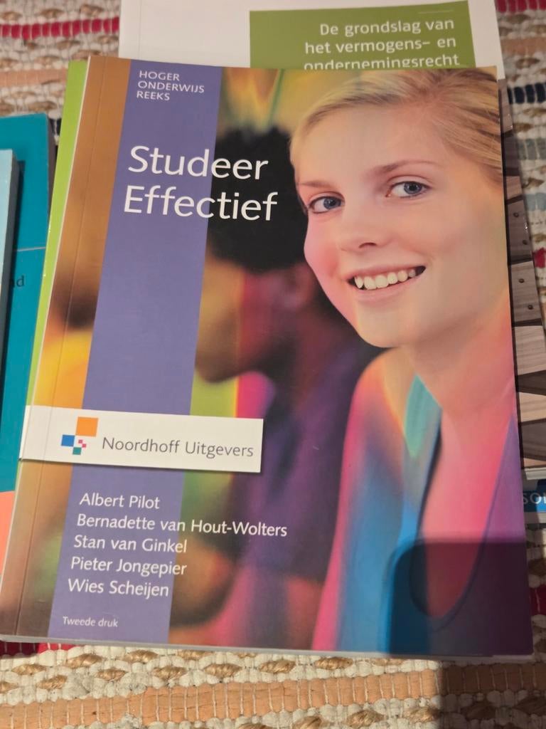 Boek Studeren Effectief - Zeer goede staat, Boeken, Albert Pilot, Bernadette van Hout-Wolters, Stan van Ginkel, Zo goed als nieuw