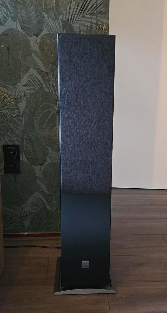 Dali Oberon 7 Vloerluidsprekers - Krachtig Geluid, Audio, Tv en Foto, Luidsprekers, Zo goed als nieuw, Front, Rear of Stereo speakers