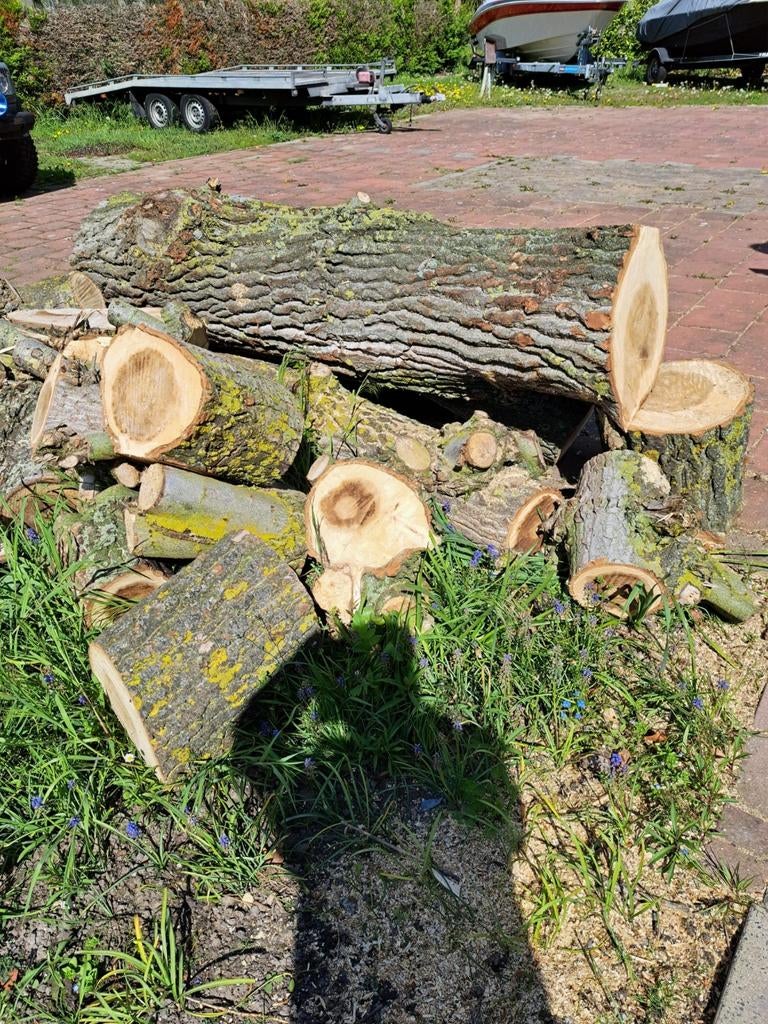 Brandhout: Eikenhout en Overige Houtsoorten, Tuin en Terras, Haardhout, 3 tot 6 m³, Ophalen, Eikenhout, Blokken