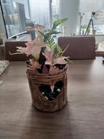 Rattan windlicht Riviera maison, Huis en Inrichting, Woonaccessoires | Kandelaars en Kaarsen, Ophalen of Verzenden, Zo goed als nieuw