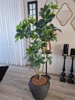 J-Line kunst geldboom met capi bloempot, Ophalen, Zo goed als nieuw, Binnen