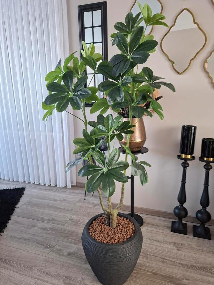 J-Line kunst geldboom met capi bloempot, Huis en Inrichting, Woonaccessoires | Kunstplanten en Kunstbloemen, Zo goed als nieuw