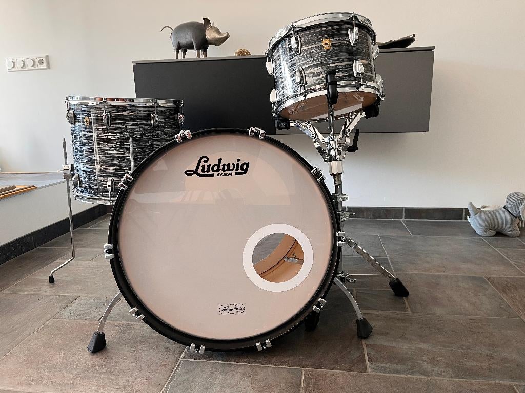 Ludwig Legacy maple, Ophalen, Zo goed als nieuw, Ludwig