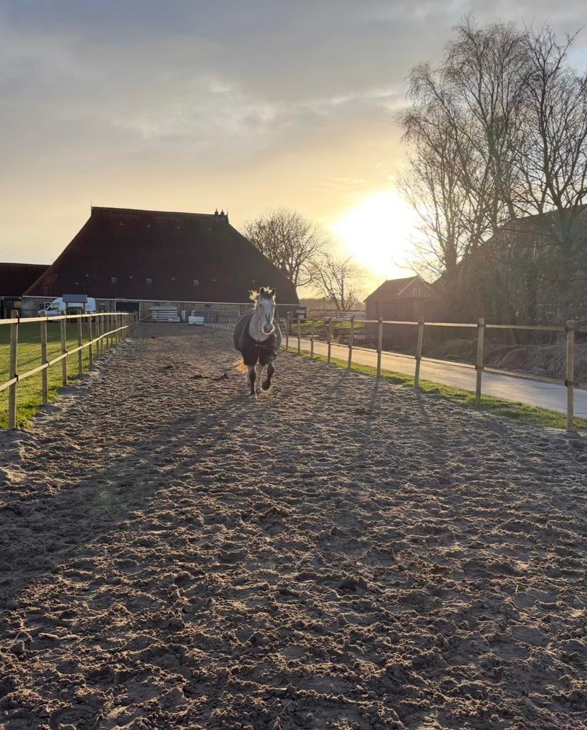 Stalling / rusthuis aangeboden, Stalling