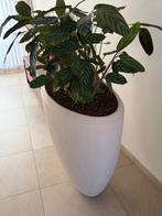 PLANTENBAK br 110 cm x 50 cm x hgt 90 cm, Ophalen, Kunststof, 40 cm of meer, Binnen