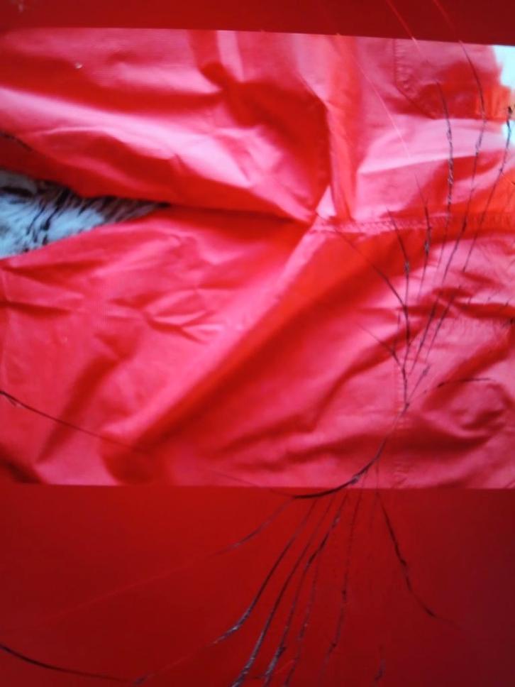 3/4 broek in het Oranje. Maat 58., Kleding | Dames, Grote Maten, Nieuw, Broek of Spijkerbroek, Oranje, Ophalen of Verzenden