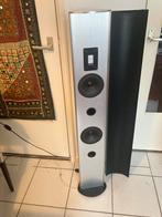 2 Piega luidspeakers, Zo goed als nieuw, 120 watt of meer, Front, Rear of Stereo speakers, Ophalen