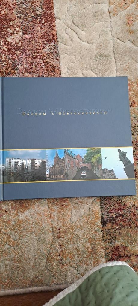 Boek daarom s-hertogenbosch, Boeken, Ophalen of Verzenden, Zo goed als nieuw