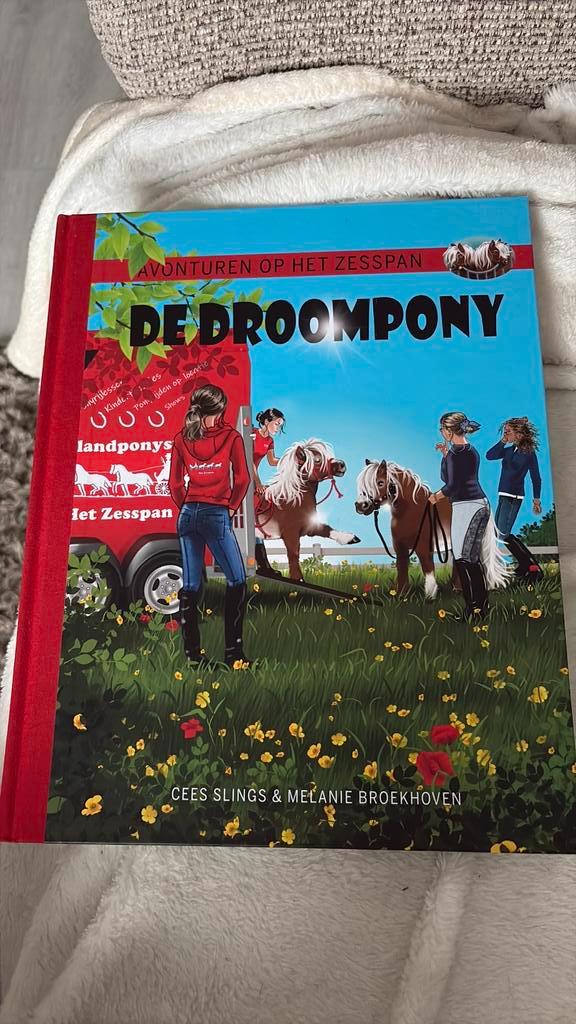Cees Slings - De Droompony, Boeken, Stripboeken, Zo goed als nieuw, Eén stripboek, Ophalen of Verzenden