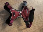 Petlando hondentuigje maat S, Dieren en Toebehoren, Ophalen, Zo goed als nieuw