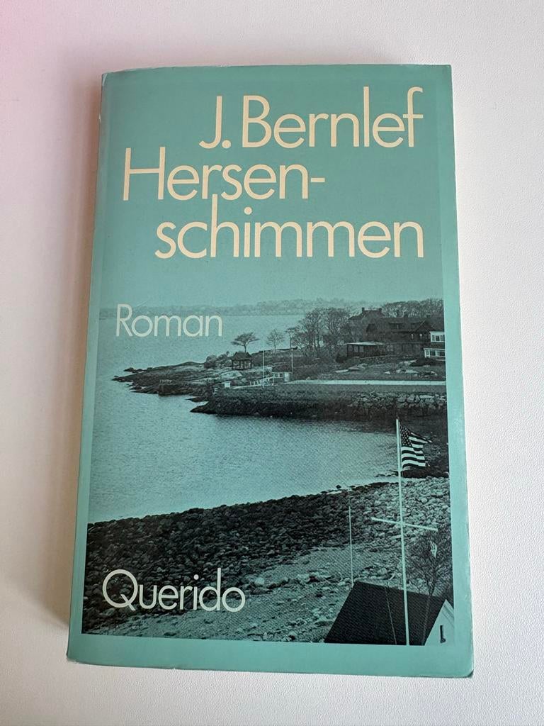 J. Bernlef - Hersenschimmen (Querido), Ophalen of Verzenden, Gelezen, Nederland