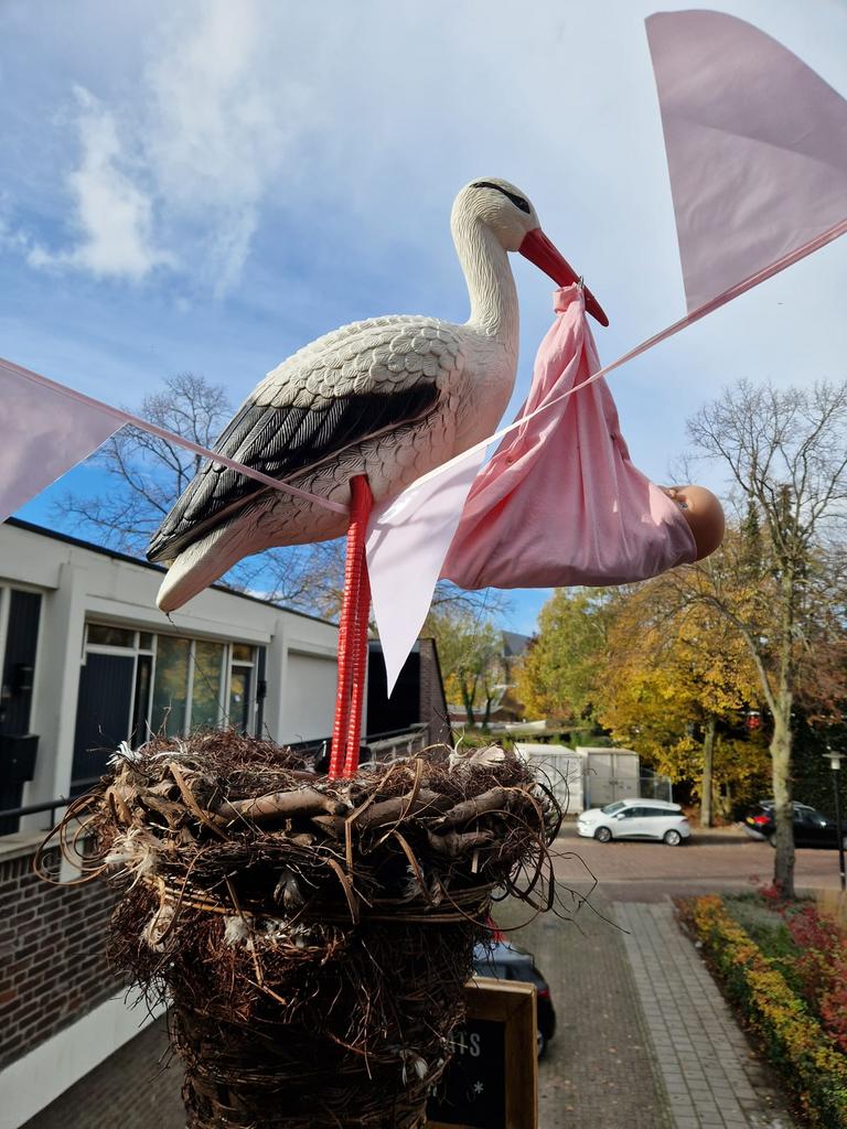 Te huur! Ooievaarsnest handgevlochten met toebehoren, Ophalen of Verzenden, Gebruikt, Geboortebord