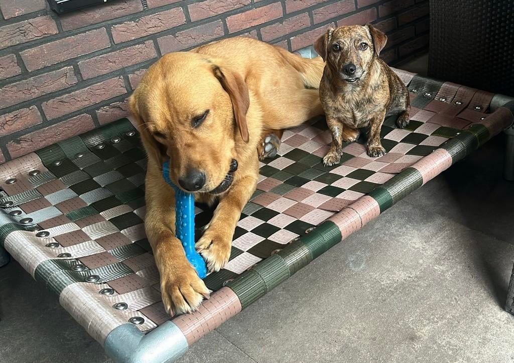 Hondenmand ✅ hondenstretcher Hondenbed hondenkussen bech dog, Ophalen of Verzenden, Nieuw, Overige