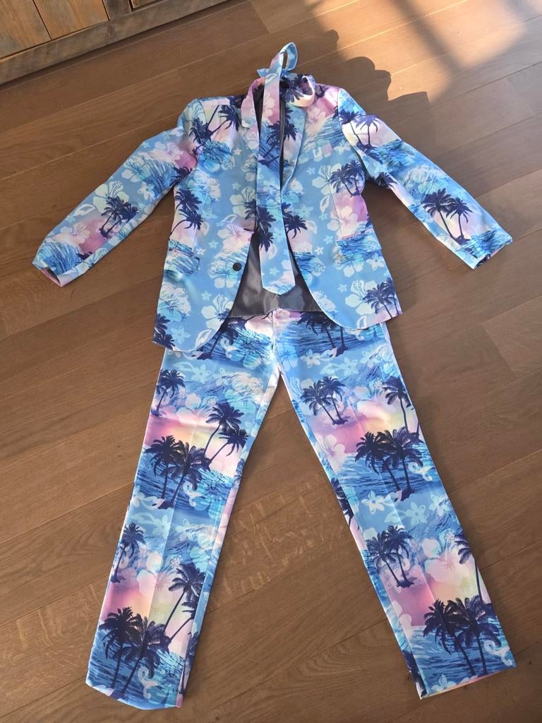 Heren carnavalspak., Kleding | Heren, Carnavalskleding en Feestkleding, Carnaval, Ophalen of Verzenden, Zo goed als nieuw, Kleding