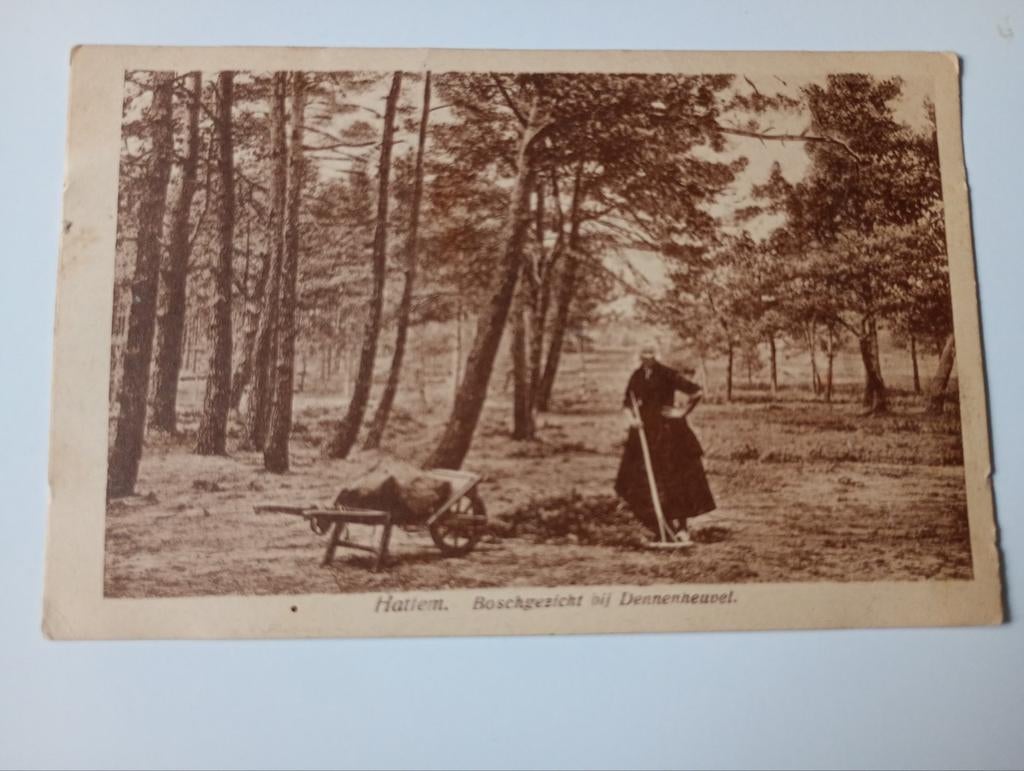 Hattem omgeving Dennenheuvel 1924, Ophalen of Verzenden, 1920 tot 1940, Gelopen, Gelderland