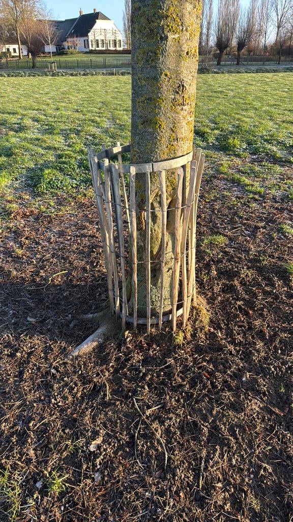 boombeschermer / boom beschermer, Ophalen of Verzenden, Volle zon, Overige soorten