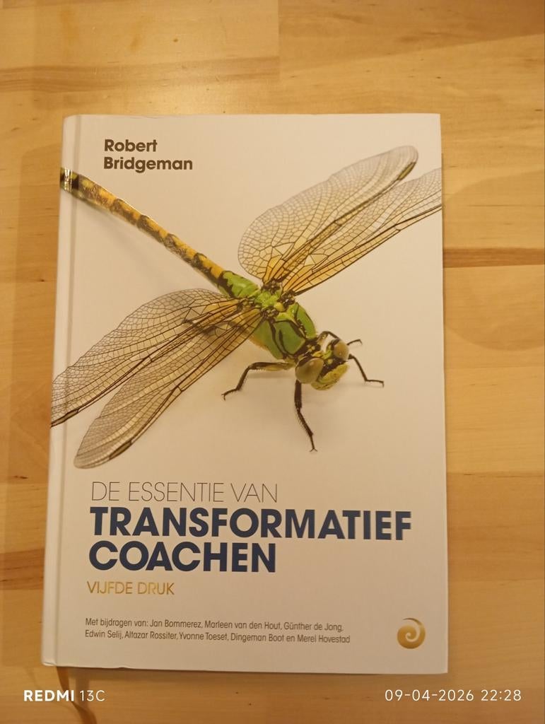 De Essentie van Transformatief Coachen - Robert Bridgeman, Boeken, Advies, Hulp en Training, Zo goed als nieuw, Ophalen of Verzenden