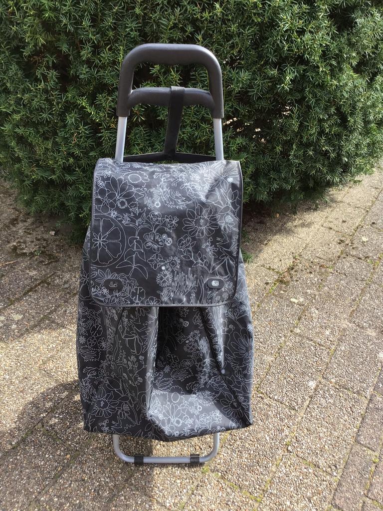 Boodschappenkarretje, Ophalen, 40 tot 60 cm, Gebruikt, 20 tot 30 cm