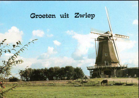 (GD504) Ansichtkaart Zwiep-Lochem Zwiepse molen 1979, Verzamelen, Ansichtkaarten | Nederland, Ongelopen, Gelderland, 1960 tot 1980