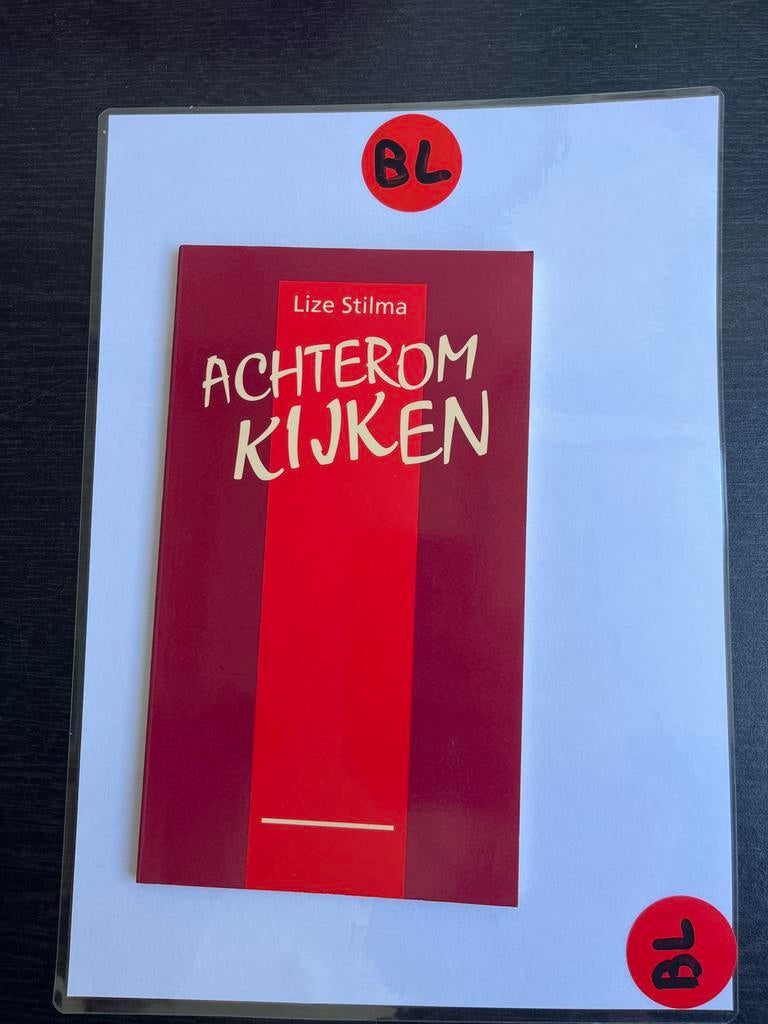 Achterom Kijken - Lize Stilma, Ophalen of Verzenden, Zo goed als nieuw, Nederland