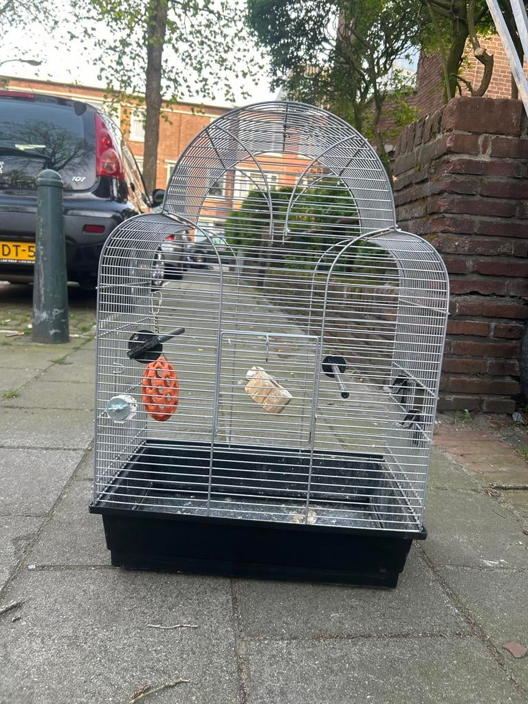Mooie vogelkooi, Dieren en Toebehoren, Vogels | Hokken en Kooien, Ophalen, Zo goed als nieuw, Metaal, Vogelkooi