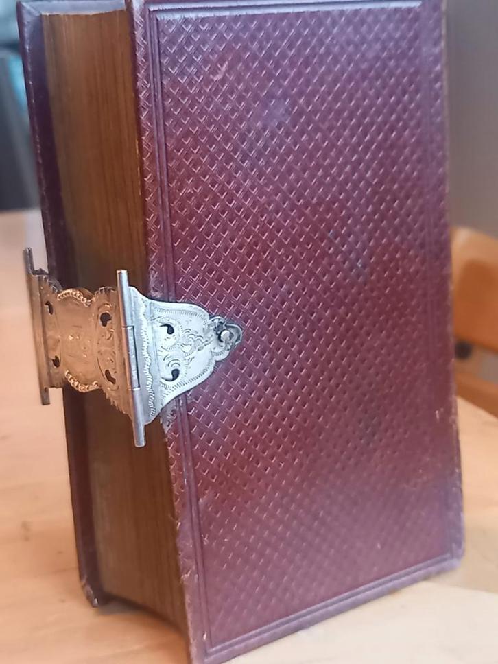PRACHTIG GAVE ROOD LEDEREN BIJBEL UIT 1875 , GOUD OP SNIT .D, Antiek en Kunst, Antiek | Boeken en Bijbels, Ophalen of Verzenden