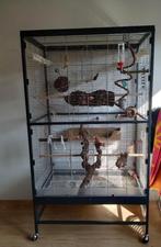 Grote vogelkooi antraciet op wielen – uitstekende staat, Ophalen, Gebruikt, Metaal, Vogelkooi