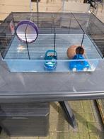 Hamsterkooi, Dieren en Toebehoren, Kooi, Gebruikt, Minder dan 75 cm, Muis