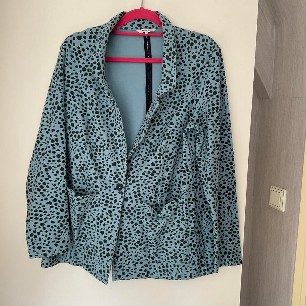 Sandwich_ Blazer met dierenprint - Maat XL, Kleding | Dames, Ophalen of Verzenden, Zo goed als nieuw, Maat 46/48 (XL) of groter