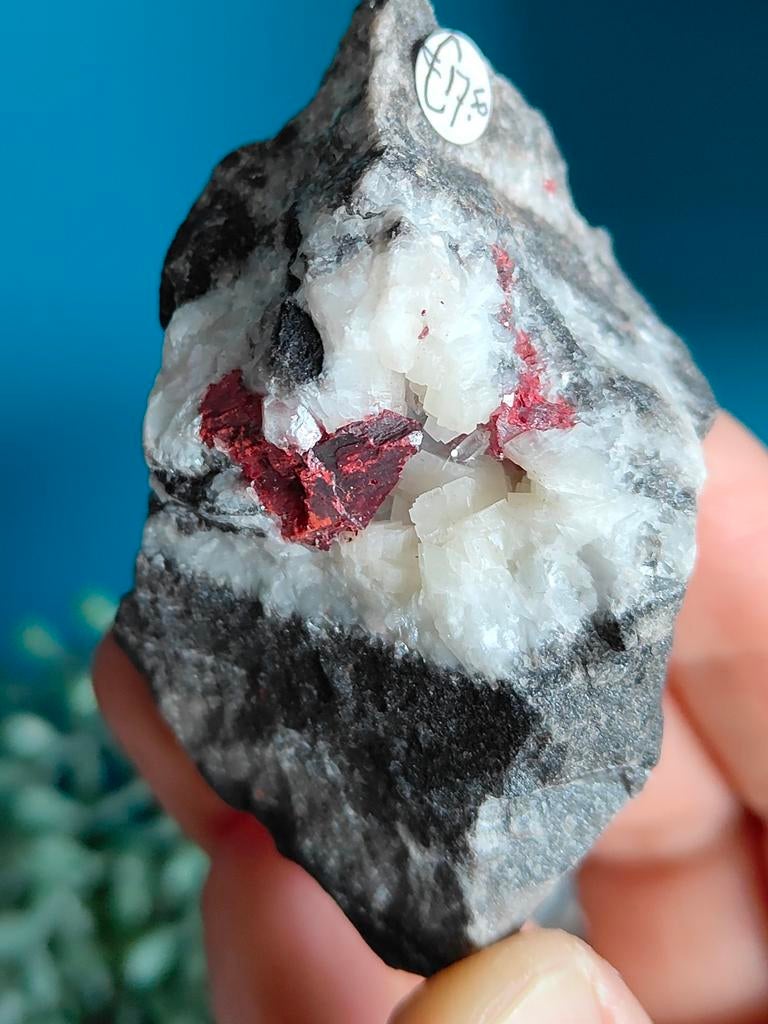 Cinnaber, Ophalen of Verzenden