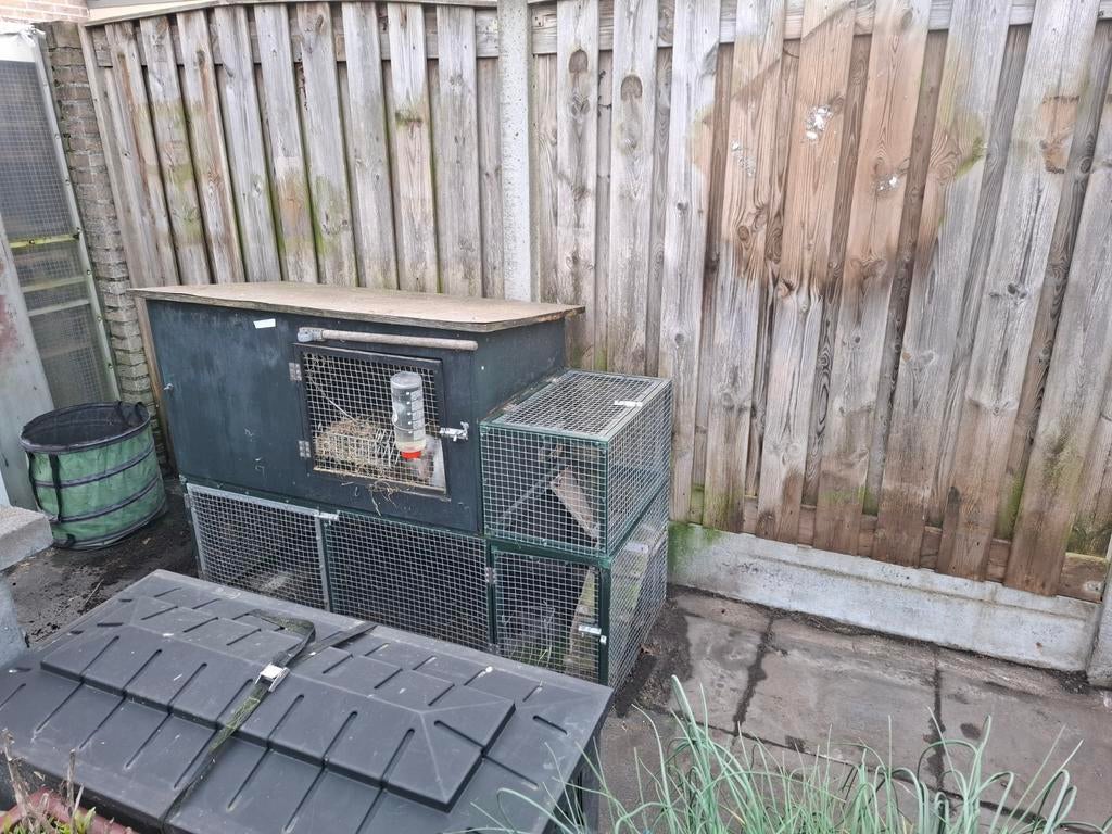 Ruim konijnenhok te koop, Ophalen, 90 cm of meer, Konijn, Hok