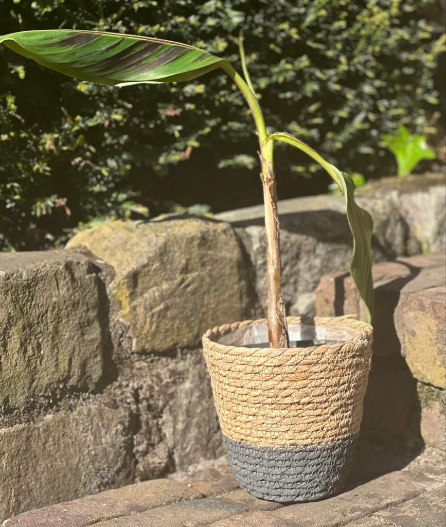 Gevlochten bloempot met tweekleurig design, Overige materialen, Rond, Ophalen of Verzenden, Zo goed als nieuw