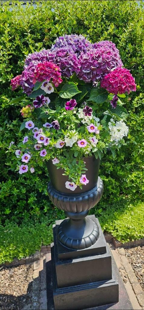 Gietijzer tuinvaas op gietijzer sokkel, Tuin en Terras, Tuinvazen, Ophalen, Gebruikt