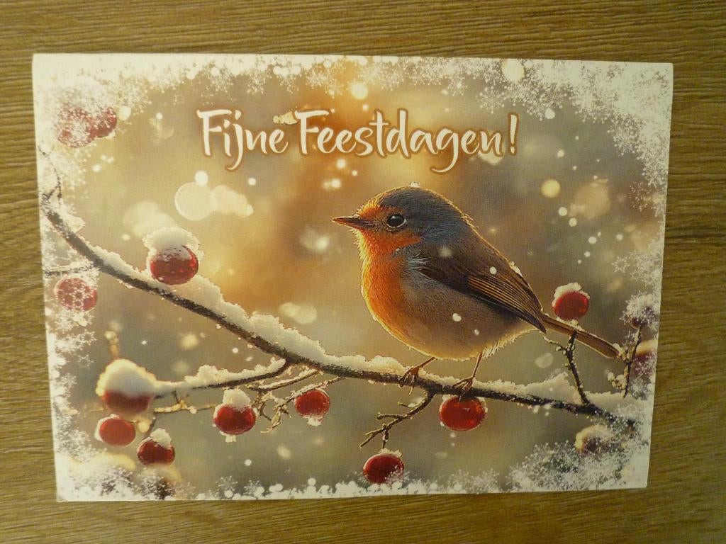 2 kaarten met roodborstje vogels, Ophalen of Verzenden, Voor 1920, Vogel