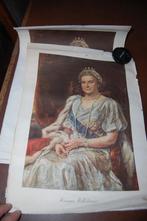 Diverse drukwerken Nederlands Koninklijk Huis, Verzamelen, Ophalen of Verzenden, Zo goed als nieuw, Nederland, Kaart, Foto of Prent