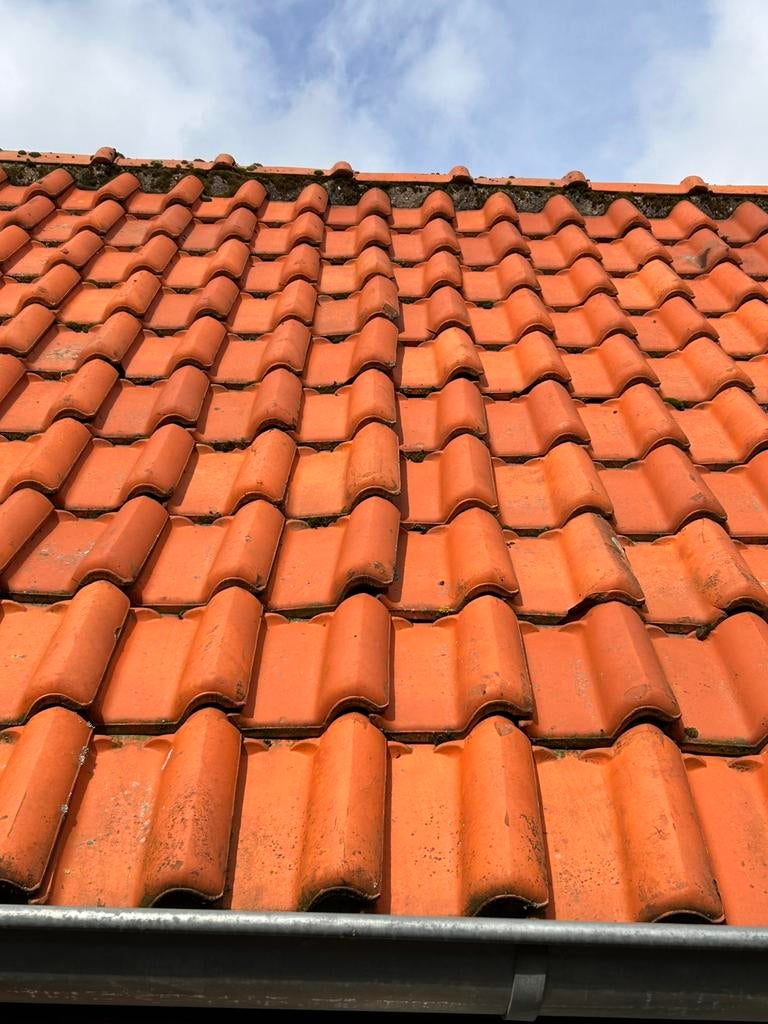 Hollandse holle dakpannen - Kleine romaanse, Ophalen, Gebruikt, Steen of Klei, 15 m² of meer