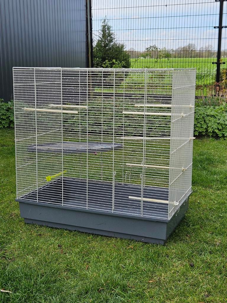 Mooie grote kooi.  Vogels of knaagdieren, Dieren en Toebehoren, Ophalen, Zo goed als nieuw, Metaal, Vogelkooi