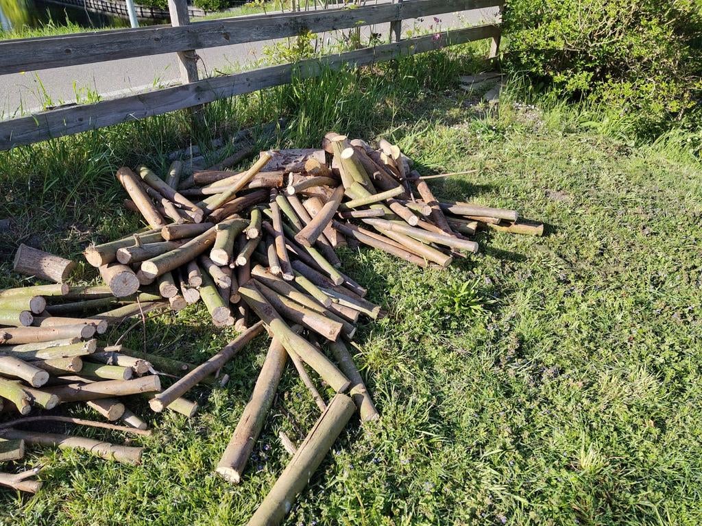 Gratis wilgen brandhout, een jaar gedroogd, Tuin en Terras, Haardhout, Minder dan 3 m³, Ophalen, Overige houtsoorten, Blokken
