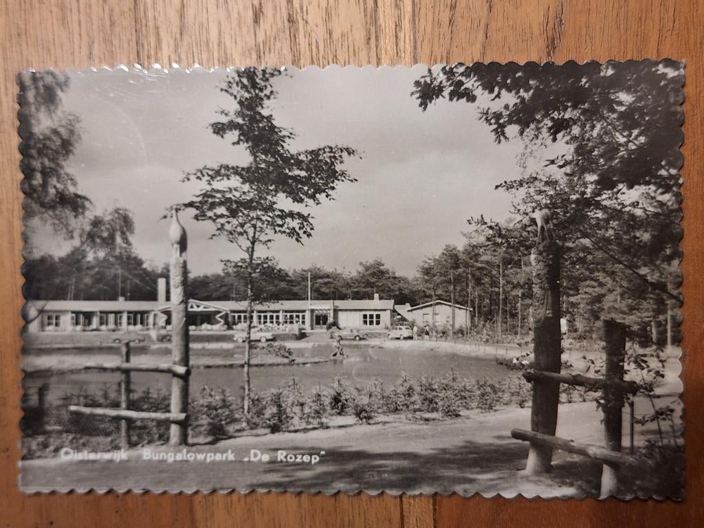 Fotokaart Bungalowpark "De Rozep" - 1958, Ophalen of Verzenden, 1940 tot 1960, Gelopen, Noord-Brabant