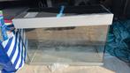 Een nieuwe aquarium met kast 80/50/40 cm, Ophalen, Leeg aquarium