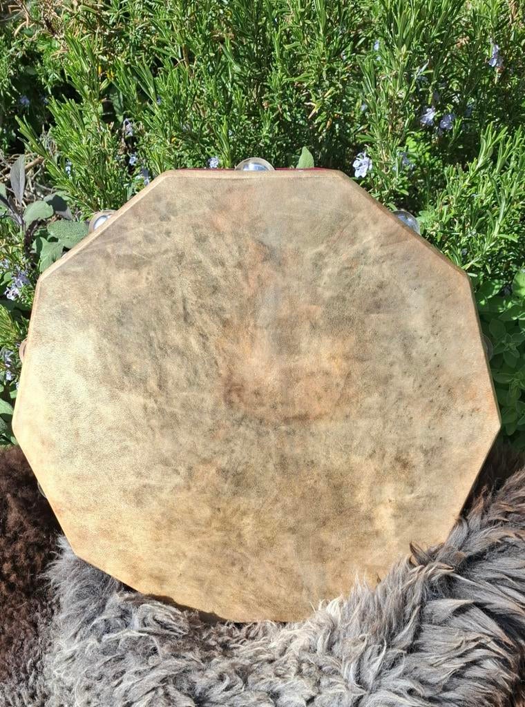 Fiona Daf, framedrum met schellen - 16 inch, echt vel, Ophalen, Zo goed als nieuw, Trommel