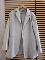 Norah lichtgrijze kolbert maat 48, Kleding | Dames, Ophalen of Verzenden, Zo goed als nieuw, Grijs, Broek of Spijkerbroek