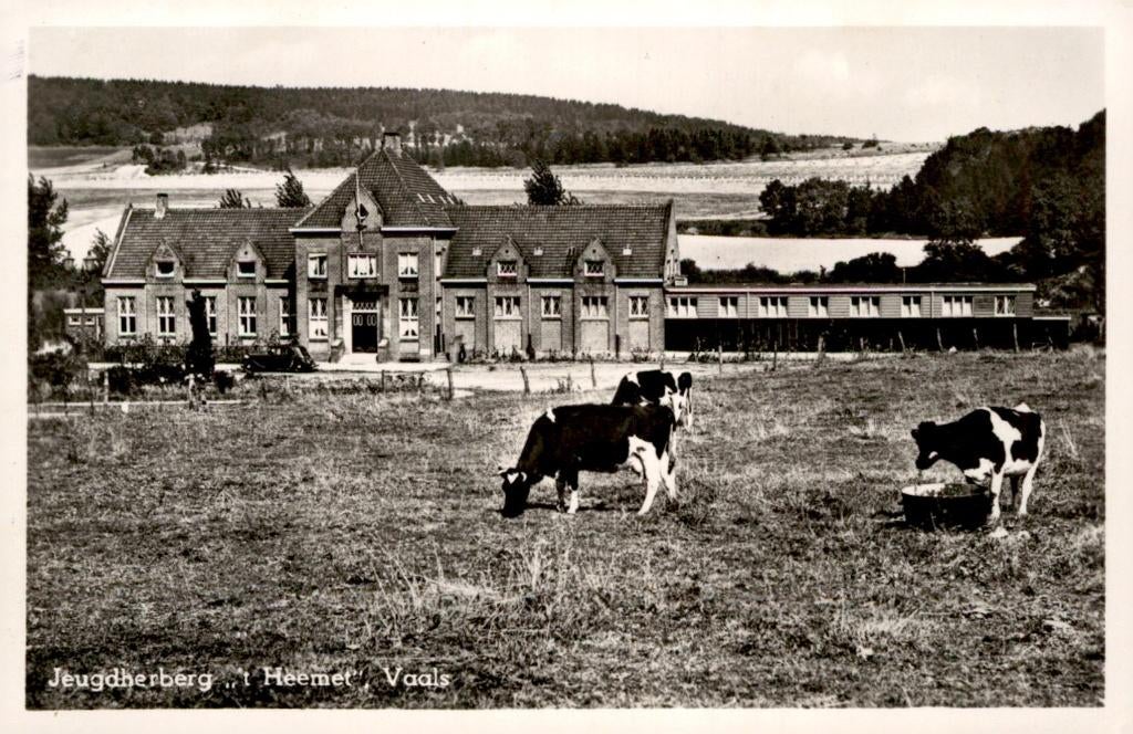 Vaals Jeugdherberg 't Heemet met koeien # 361, Verzamelen, Ansichtkaarten | Nederland, Verzenden, 1940 tot 1960, Ongelopen, Limburg