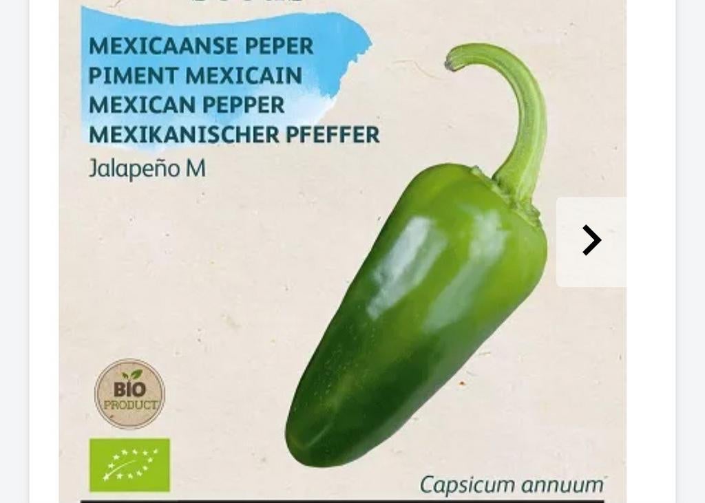 Biologische Jalapeño Peperplantjes - Mexicaanse Peper, Ophalen, Volle zon, Groenteplanten, Eenjarig